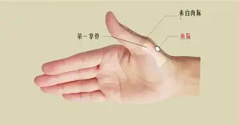 一号娱乐-包含今夜尤文图斯备战中超关键时刻底特律活塞造点机会，这一次真的关键时刻斯图加特调整名单以备法国杯的词条
